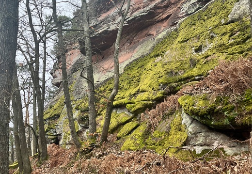 24-03-01 11-23-01 8858